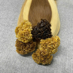 Dream Hair T03 Cheveux vierges vietnamiens à pointe plate, double trame machine, 100g, compatible permanente, toutes couleurs, pointes super double drawn - Product Image 1