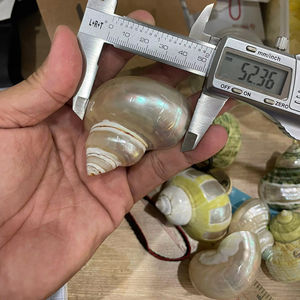 Servilletero de concha de mar hecho a mano, soporte de concha Natural para mesa de recepción de boda, ajuste de origen artesanal de Vietnam - Product Image 1