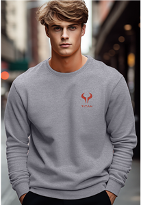 เสื้อสเวตเตอร์สำหรับผู้ชายผ้าฝ้าย330gsm แขนยาวผ้าฝ้าย100% โลโก้ได้ตามต้องการ - Product Image 4