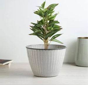 Keep <b>plants</b> healthy with galvanized planters, durable and stylish metal <b>pots</b> for any settings, available at wholesale prices - Product Image 3