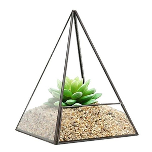 Home Decorative Metal and <b>Glass</b> Terrarium - Product Image 5
