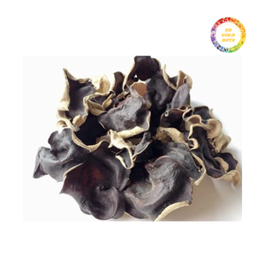 Champignon de bois naturel de haute qualité, champignon de nuage, champignon noir biologique, champignon de bois pour l'exportation en gros - Product Image 3