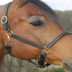 Cabestro de cuero artesanal y ajustable para caballos, hecho de cuero ancho de primera calidad, cabestro de caballo de cuero marrón negro de doble capa - Product Image 6