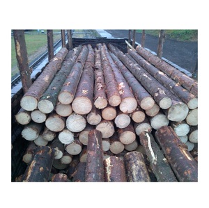 Spruce Wood <b>Logs</b> for Export - Sustainable and Responsible Sourcing - Product Image 5