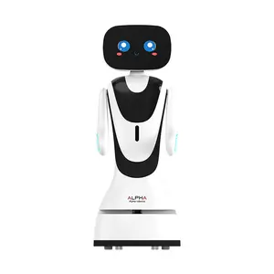 O mais recente serviço de robô-guia de recepcionista adequado para o robô cênico da sala de exposições da escola