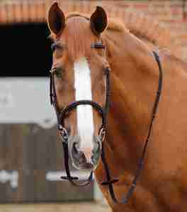 2026 Racing Horse Riding <b>Reins</b> Anti Slip <b>Side</b> <b>Reins</b> Accessories Factory Manufacturer Supplier Durable Horse Riding <b>Reins</b> Bulk - Product Image 5