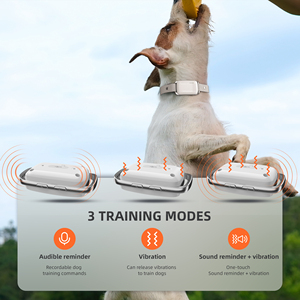Collier d'entraînement pour chien anti-aboiement rechargeable, étanche IP67, en plastique, avec rappel sonore et télécommande électrique 1000m - Product Image 4