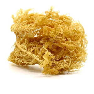 {LOS MEJORES PRODUCTOS DE 2025} CALIDAD PREMIUM Y POPULAR EN ASIA (VIETNAM) APOYAN SU SALUD - Product Image 3