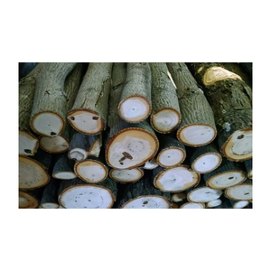 53. South Africa Pine Beech <b>Wood</b> Lumber Hot <b>Sale</b> Timber <b>Wood</b> <b>Logs</b> Factory Supply Oak Beech Hot Selling Product - Product Image 2
