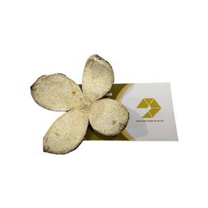 CÁSCARA DE NARANJA VERDE DESHIDRATADA DE ALTA CALIDAD, PIEL GRUESA, PERFECTA PARA BEBIDAS Y USOS CULINARIOS, CÁSCARA DE NARANJA SECA PURA - Product Image 1