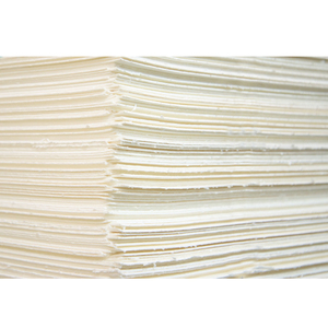 Bleached Hardwood <b>Pulp</b> Raw Material for Tissue Paper Writing Printing Paper Manufacturing Industry - Product Image 4