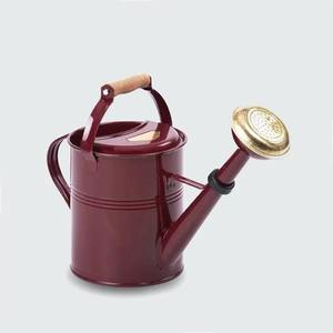 Red Galvanized <b>Iron</b> Metal <b>Water</b> Cans 1.8L Eco-Friendly for Home & Garden Watering Flower Holders Handicrafts - Product Image 5