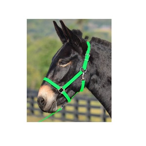 Cabestro Ecuestre para Caballos Más Vendido, Cinta Recubierta de PVC, Color y Tamaño Personalizables, Súper Suave, Ligero, Elegante y Personalizable - Product Image 3