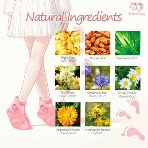 Fournisseur de soins de la peau Lait Ferment Filtreate Brevet 3D Soins des pieds - Product Image 4