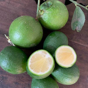 TOP FRUTA FRESCA EN VIET NAM/Lima sin semillas fresca orgánica/fruta fresca de limón verde sin semilla - Product Image 2