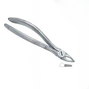 Produits de logo personnalisé de haute qualité Forceps d'extraction de dents dentaires Fig.30 S Instruments dentaires en acier inoxydable - Product Image 4