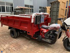 <span class=keywords><strong>3</strong></span> ruote 200cc nuova casa adulto benzina <span class=keywords><strong>3</strong></span> ruote moto con tricicli da carico Sidecar per il carico - Product Image 4