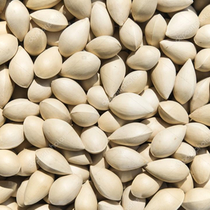 Cheap peeled gingko nuts for sale