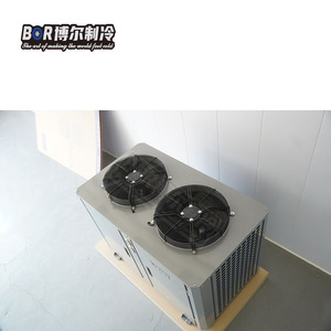 Nuovo tipo <span class=keywords><strong>di</strong></span> Copeland compressori ottimale ad alta efficienza a basso consumo <span class=keywords><strong>di</strong></span> energia cella frigorifera unità <span class=keywords><strong>di</strong></span> refrigerazione per Cold Storage <span class=keywords><strong>frutti</strong></span> <span class=keywords><strong>di</strong></span> <span class=keywords><strong>mare</strong></span> - Product Image 5