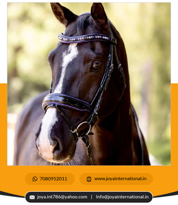 Approvisionnement en vrac d'usine indienne Purple Rain Limited Edition Snaffle Bridle Black Patent Intelligent Horse Product à vendre - Product Image 6