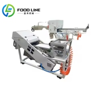 Machine de tri de couleur pour céréales, haricots, légumineuses, trieuse de forme, machine de tri de couleur pour céréales