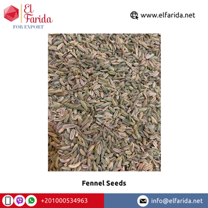 Graines de fenouil à prix compétitif, riches en nutriments verts et bruns, crus et séchés, avec une seule épice de la meilleure qualité - Product Image 5