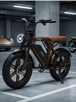 Fabricant en gros de vélos électriques UE, États-Unis, Afrique – Vélo électrique tout-terrain 20 pouces 750W à pneus larges, style cyclomoteur rétro, haute vitesse