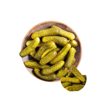 Pepinillos/Cornichones/Pepinos encurtidos en frasco de vidrio, de alta calidad, fabricados en Vietnam, precio al por mayor, OEM