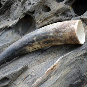 Jarra de cuerno para beber pulida hecha a mano, artesanía natural única para entusiastas de la cerveza y el hidromiel - Product Image 1