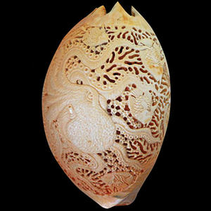 Bijoux en coquillages sculptés, 30 cm, forme naturelle, motif animalier, toucher réel, art et objet de collection - Product Image 1