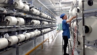 Best Price and High Quality Yarn From Vietnam - OE Cotton Yarn 100%