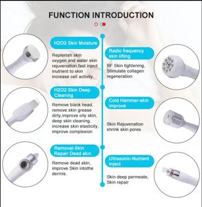 Machine de dermabrasion hydraulique 14 en 1 Jet d'oxygène Hydra Beauty Hydrodermabrasion Machine faciale - Product Image 2