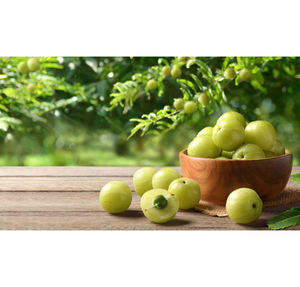 Healthy Organic Food Grade Natural Amla Herbal <b>Extract</b> 100% Pure Super Quality Best Price Made India Solvent Extracted Herbojit - Product Image 2