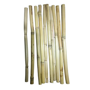 Approvisionnement en vrac de pailles de roseau en bambou biodégradables pour la maison et le restaurant - Product Image 6