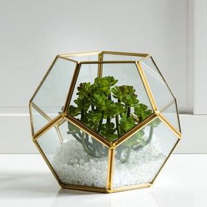 Soporte de exhibición de vidrio de cubo de Terrario de metal adecuado para configuración de mini jardín perfecto para pequeñas plantas decorativas de interior - Product Image 5