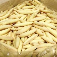 Biscuits à la noix de coco au goût de durian, au goût saumâtre, qui se transforment de croustillants en fondants, des en-cas vietnamiens.