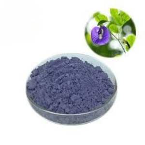 Vietnam Butterfly Pea Flower <b>Powder</b> with Strong <b>Color</b> and <b>Food</b> Grade Certification [FREE SAMPLE] - Product Image 5