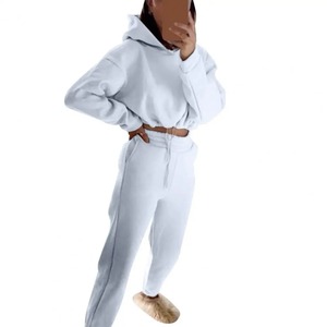 Nouveau décontracté en gros élégant 2 pièces ensemble de haute qualité à capuche survêtements Premium respirant élégant femme survêtements - Product Image 4