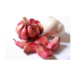 Precio barato Venta al por mayor Ajo fresco de alta calidad Fabricantes Ventas calientes 2022/Ajo rojo español/Ajo fresco Alho - Product Image 5