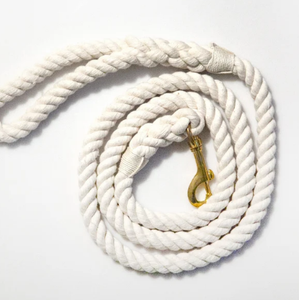 Laisse pour chien - Product Image 4