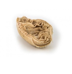 Abomasum de bœuf congelé - Quatrième ventre de bœuf - Fournisseur en gros - Product Image 2