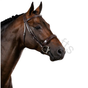 Brida para Caballo de Caza con Muserola Ancha, Banda Frontal Acolchada y Hebillas de Acero Inoxidable - Product Image 2