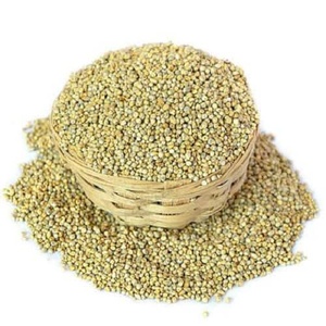 Millet vert super qualité pour l'alimentation animale prêt d'Inde pour l'exportation - Product Image 2