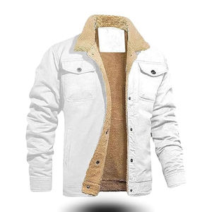 Automne hiver hommes haute rue Style respirant extérieur polaire veste couleur personnalisée épais col montant fermeture à glissière - Product Image 1