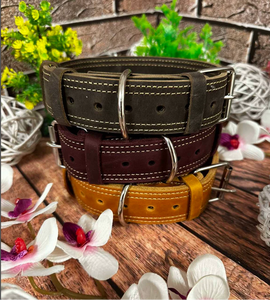 Customized Leather Dog <b>Collar</b> with Personalization for Greyhound and Whippet - Product Image 2