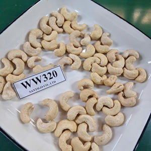 Délai court SANTIGO Vietnam W320 Noix de cajou Kaju Badam Noix de cajou W320 - Product Image 1