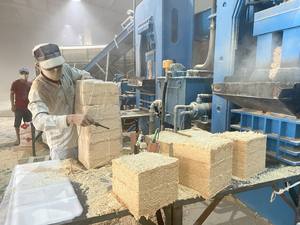 Copeaux de bois de pin séchés vietnamiens 3mm-6mm Literie pour animaux bruts pour petits animaux de compagnie Vente de produits de déchets agricoles de marque WOOUP - Product Image 5