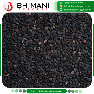 เมล็ดงาดำสดคุณภาพพรีเมียม ขนาด 1-3.5 มม. จากอินเดีย ผู้ผลิตสำหรับการสกัดน้ำมัน บีมานี เอ็กซ์ปอร์ตส์ - Product Image 3