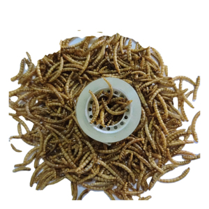 PET <span class=keywords><strong>FOOD</strong></span> Secas Black Soldier Fly Larvas Secas Mealworm <span class=keywords><strong>High</strong></span>-<span class=keywords><strong>Protein</strong></span> Chicken, Reptile, and <span class=keywords><strong>Bird</strong></span> Treats - Product Image 2