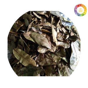 Feuilles de Corossol séchées du Vietnam-Feuilles de Graviola soigneusement sélectionnées et séchées naturellement avec une couleur et un arôme originaux - Product Image 5